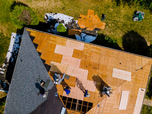 Best Roof Replacement Cost  in Shamrock, TX