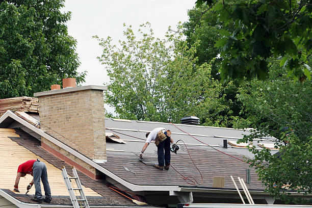 Best Roof Gutter Cleaning  in Shamrock, TX