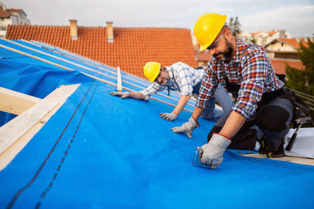 Best Shingle Roofing Installation  in Shamrock, TX